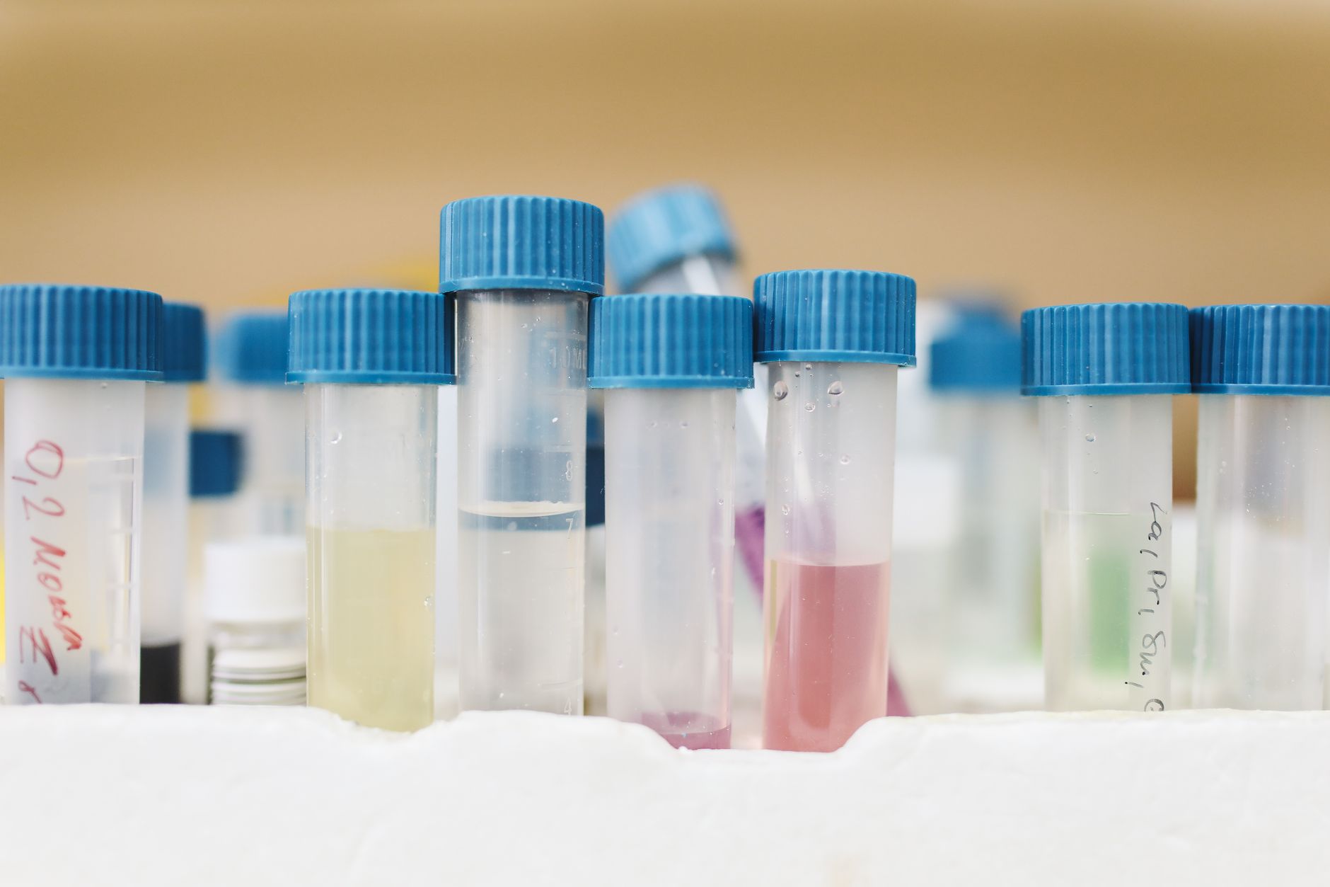 Tubos de amostra de laboratório com tampas azuis numa bandeja branca, alguns com líquidos de cores diferentes.